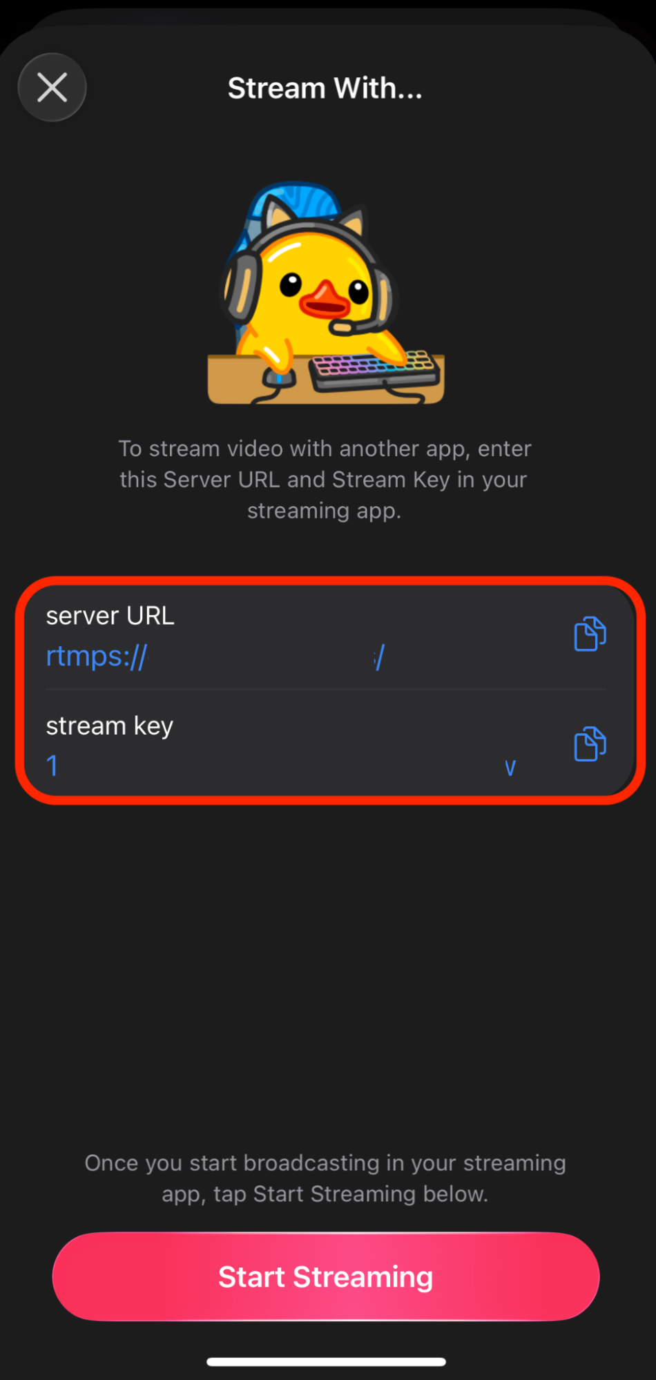 telegram live stream url and stream key screen